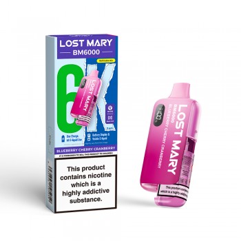 Lost Mary BM6000 Prefilled Pod Starter Kit